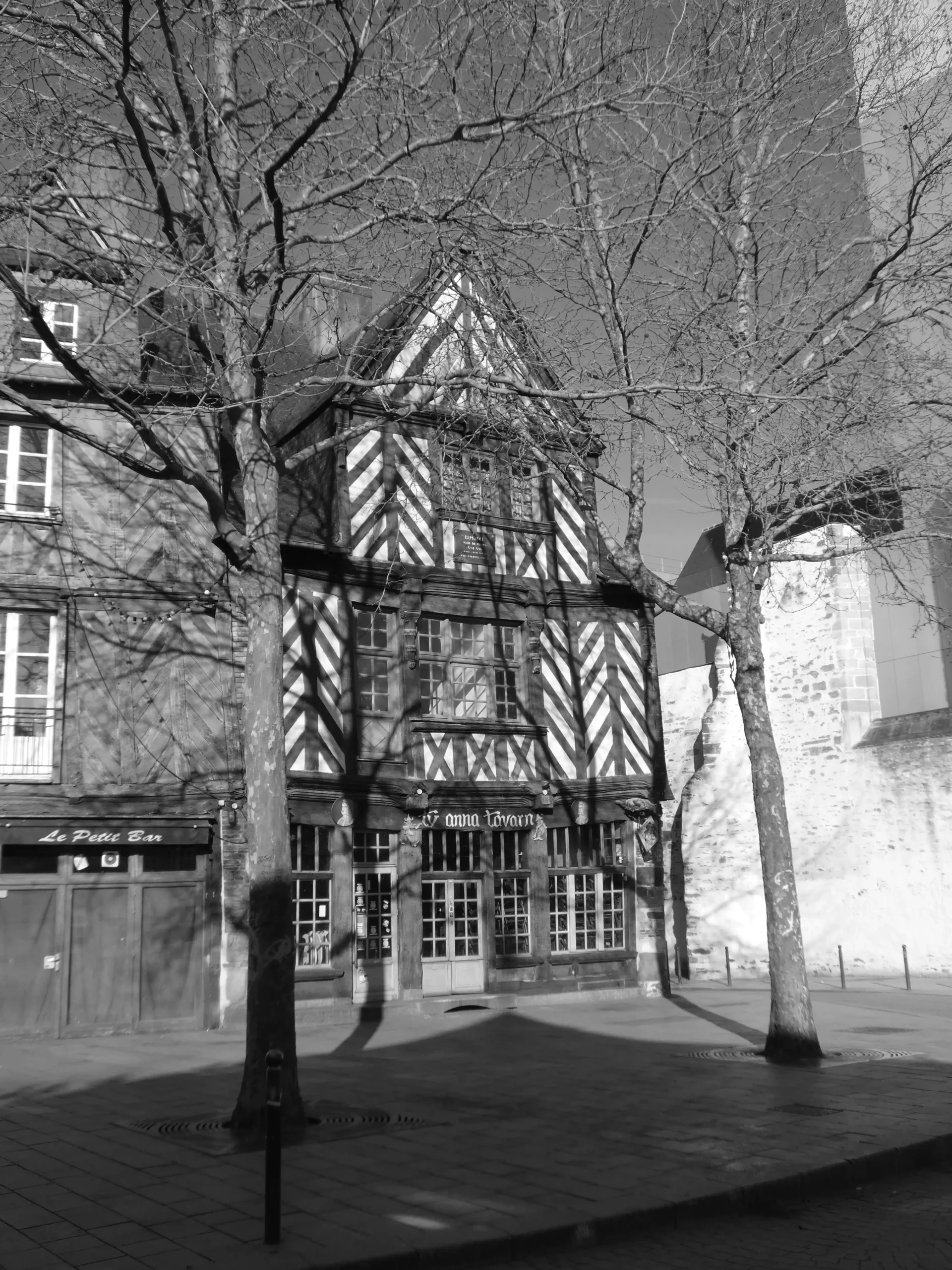 Tree and Building